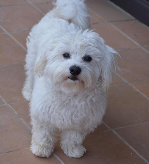 هتل Rural Cor De Prades