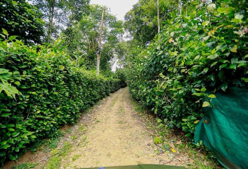 ベッドアンドブレックファースト Thekkady Kalarickal Heritage Bungalow
