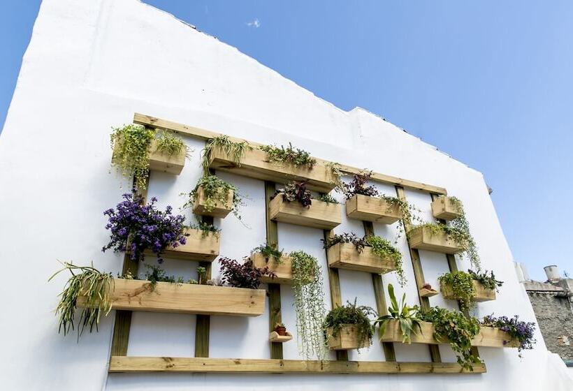 Chinitas Urban Hostel