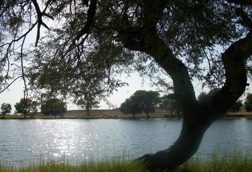 בית מלון כפרי Artist