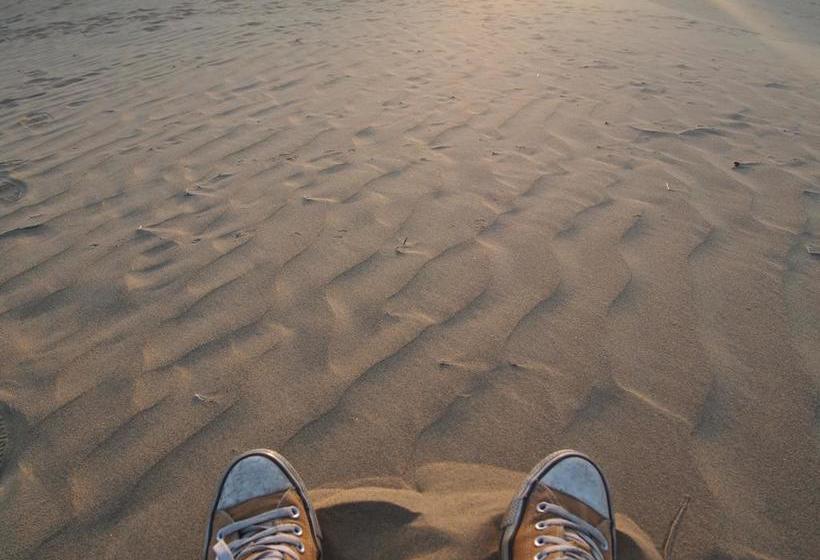 בית מלון כפרי Artist