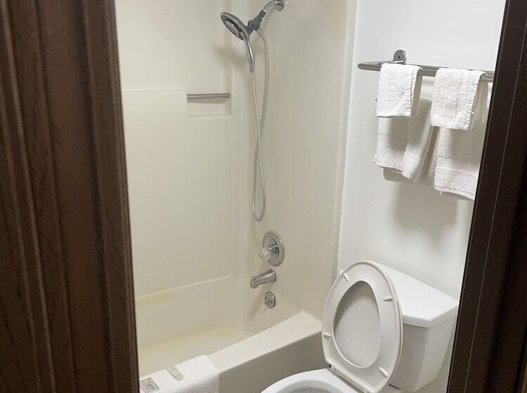 汽车旅馆 Bedford Inn