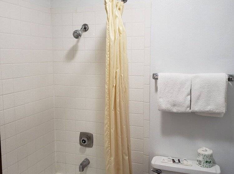 فندق على الطريق Budget Inn