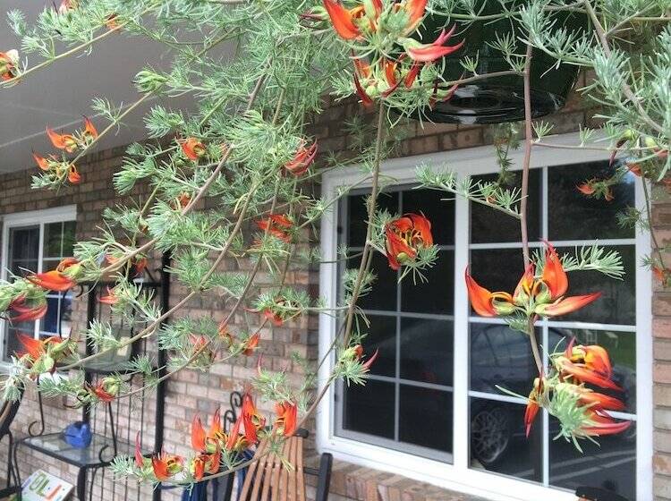 فندق على الطريق Cardinal Inn