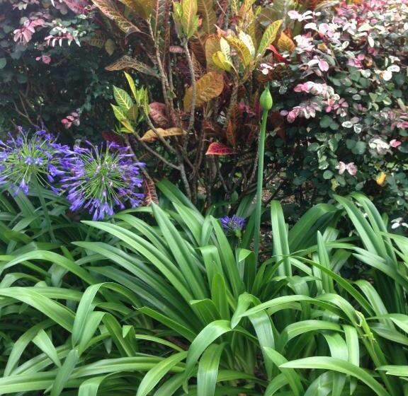 Banyan Tree B&b Retreat