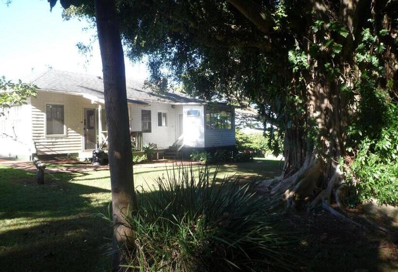 Banyan Tree B&b Retreat