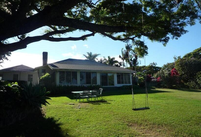 Banyan Tree B&b Retreat