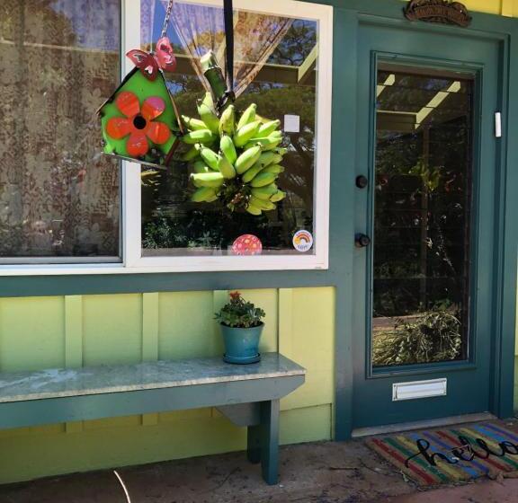 Banyan Tree B&b Retreat