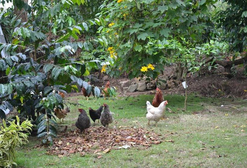 مبيت وإفطار Lilikoi Inn