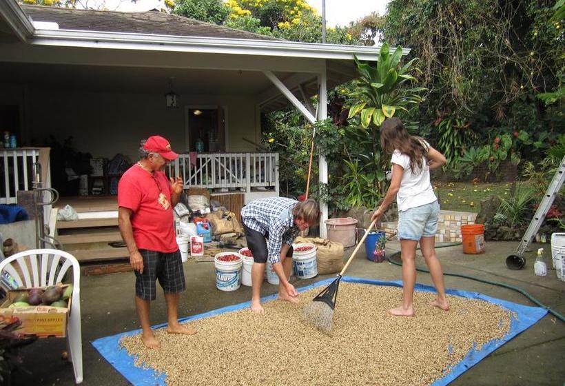 مبيت وإفطار Lilikoi Inn