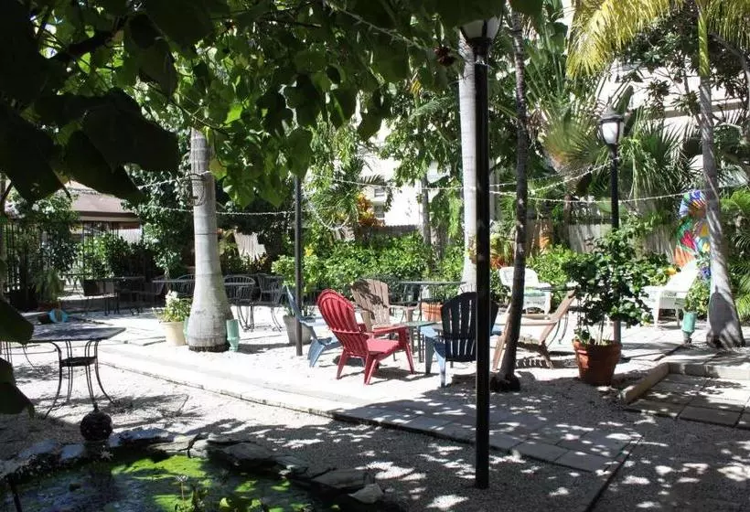 تختخواب و صبحانه Palm Beach Hibiscus Downtown