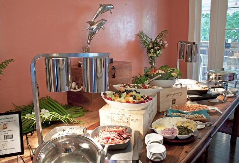 تختخواب و صبحانه Palm Beach Hibiscus Downtown