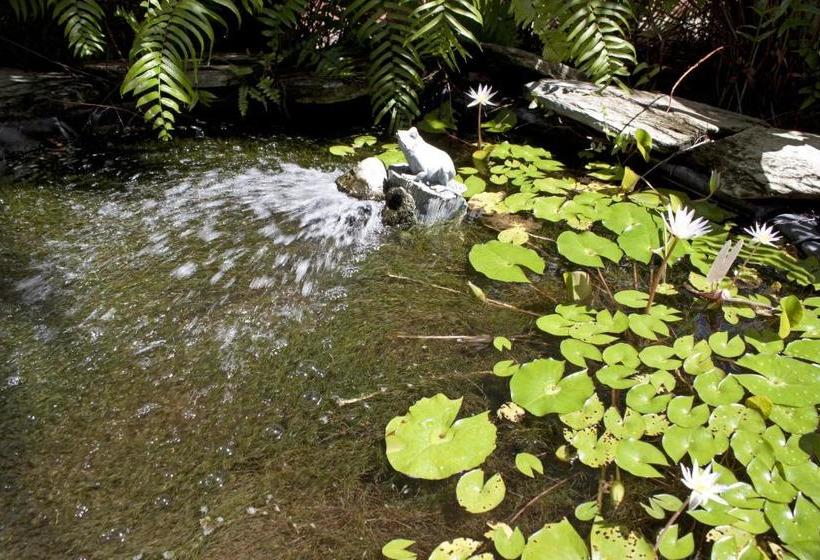 تختخواب و صبحانه Palm Beach Hibiscus Downtown