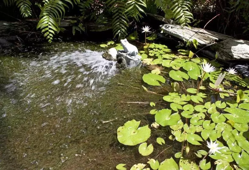 تختخواب و صبحانه Palm Beach Hibiscus Downtown