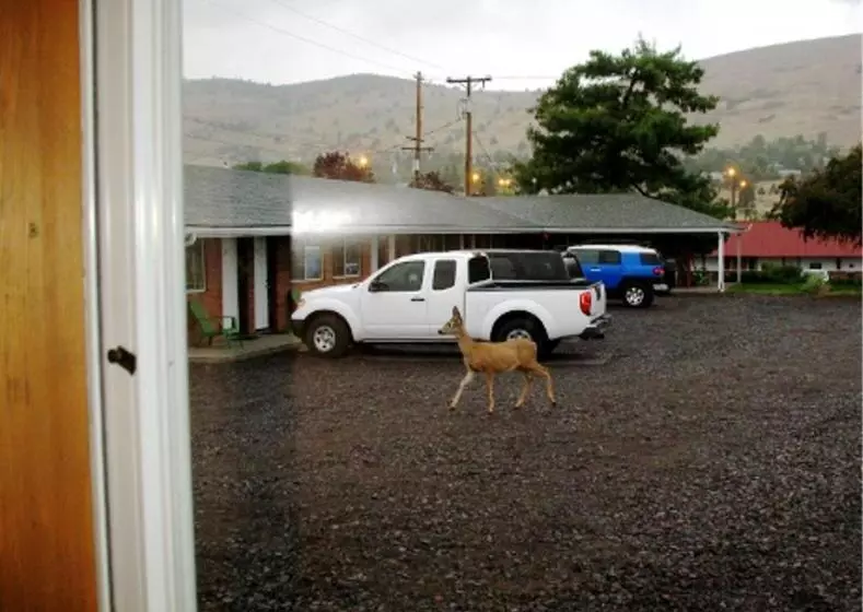 Golden West Motel