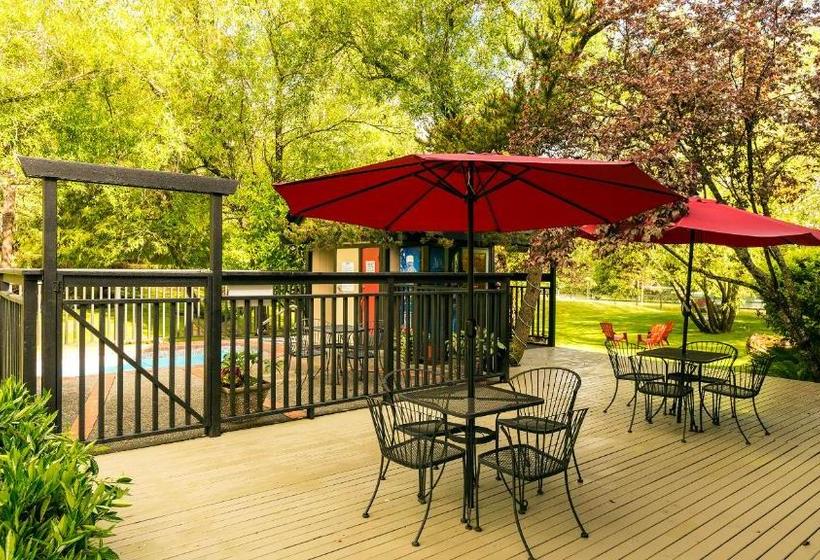 ホテル Discovery Inn