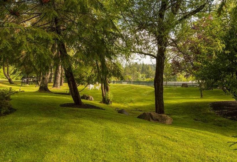 ホテル Discovery Inn