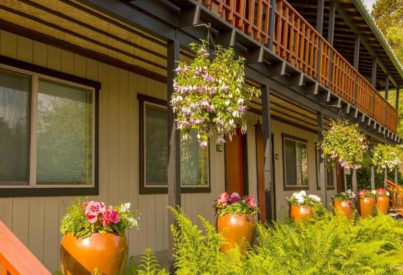 ホテル Discovery Inn