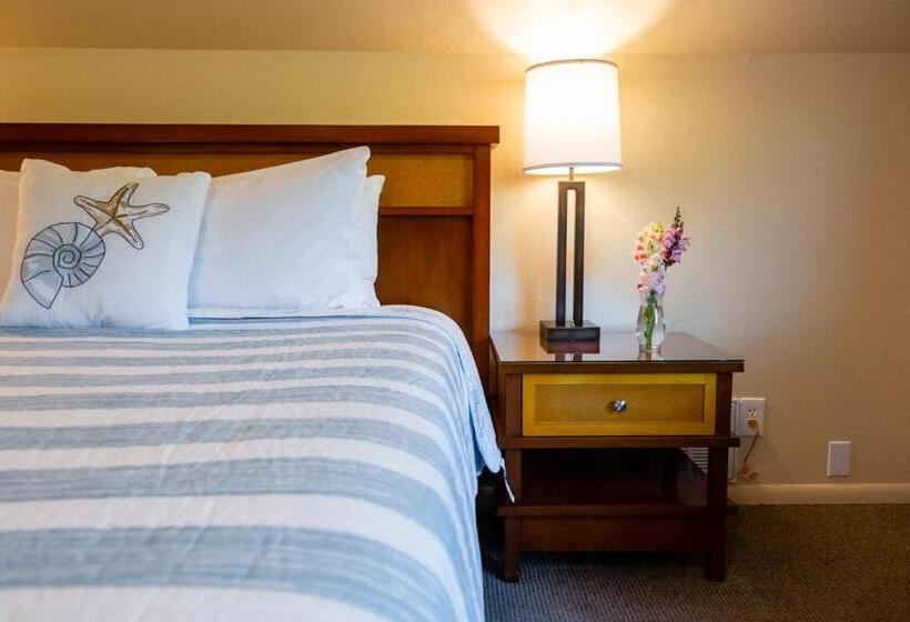 ホテル Discovery Inn