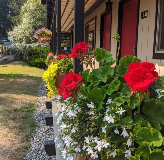 ホテル Discovery Inn