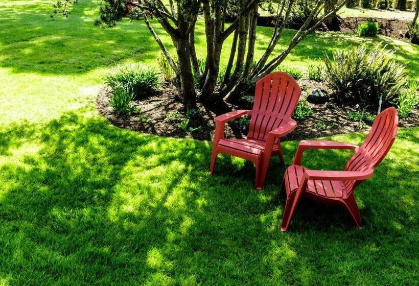 ホテル Discovery Inn