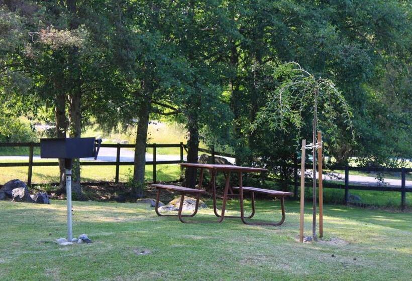 ホテル Discovery Inn