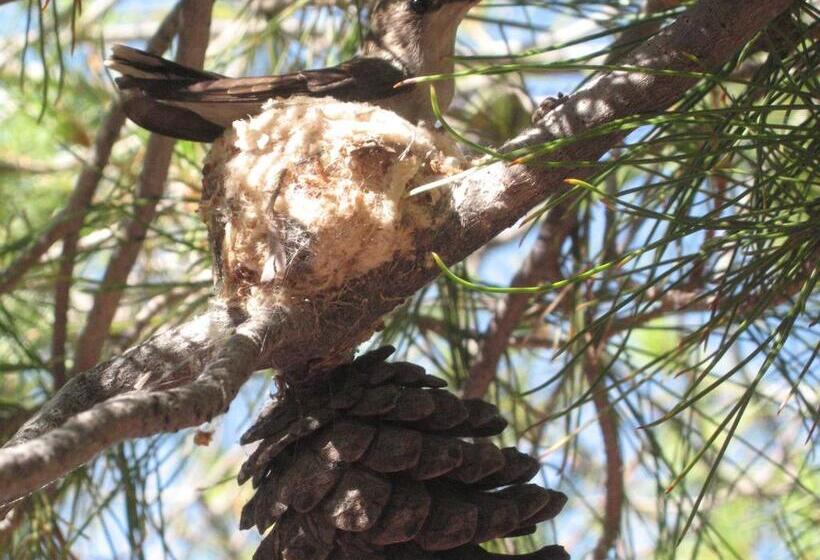 Mon Ami Bed And Breakfast