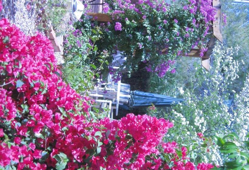 Mon Ami Bed And Breakfast