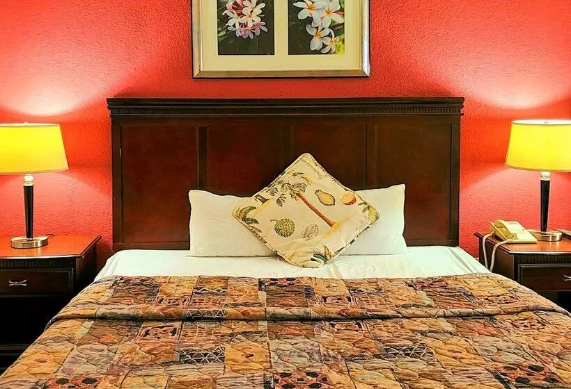 モーテル Econo Lodge Inn & Suites