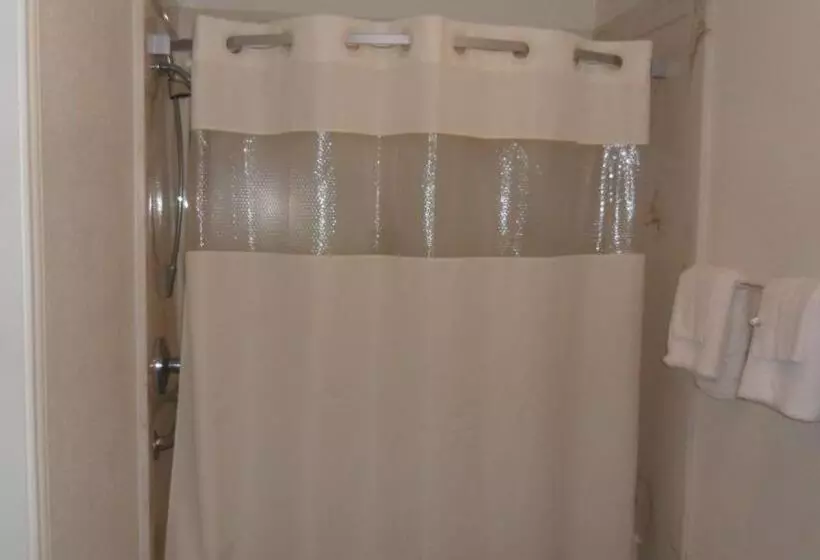 Motelli Deluxe Inn Palacios