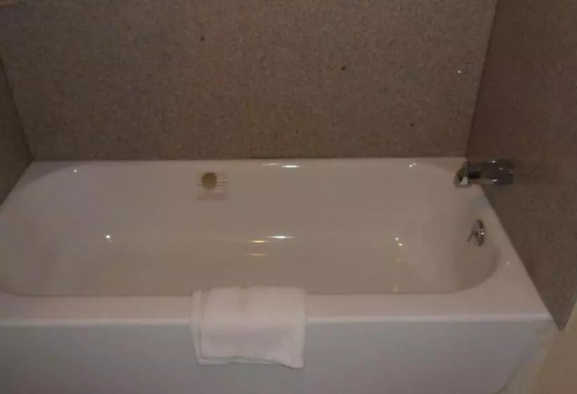Motelli Deluxe Inn Palacios