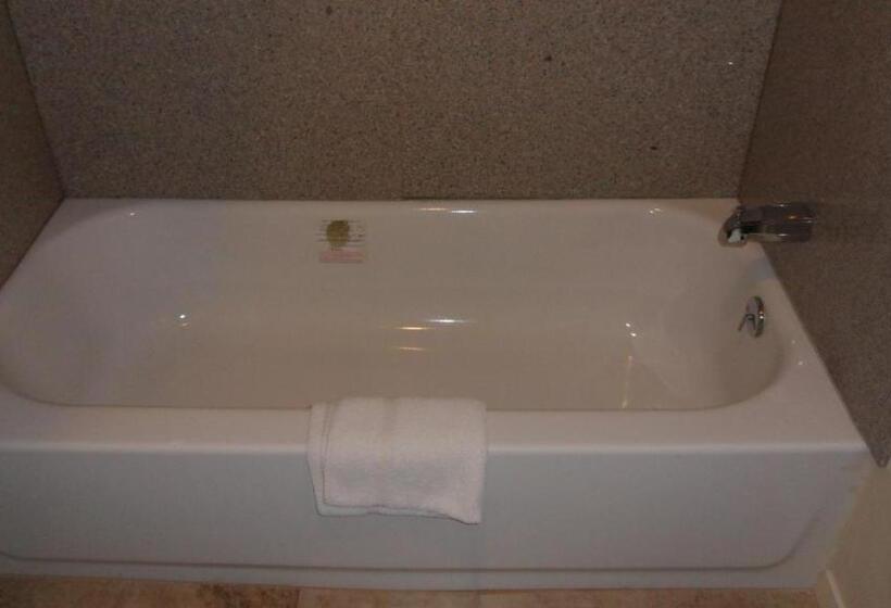 فندق على الطريق Deluxe Inn Palacios