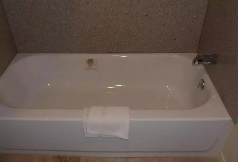 Motelli Deluxe Inn Palacios