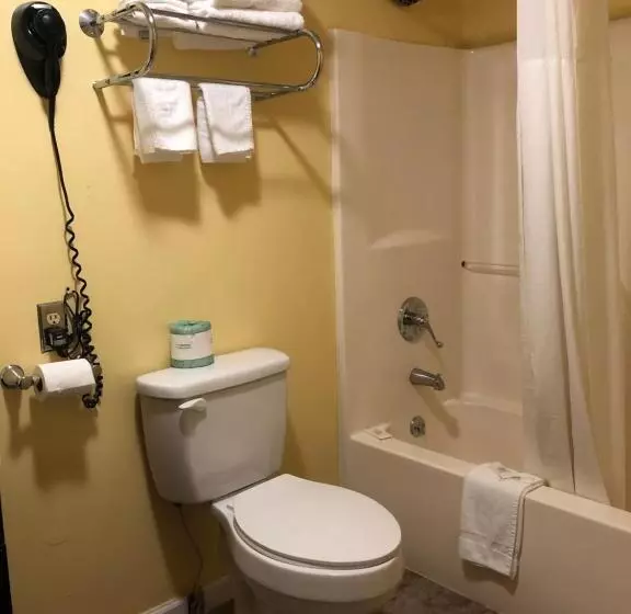 モーテル Ellijay Inn   Downtown Ellijay