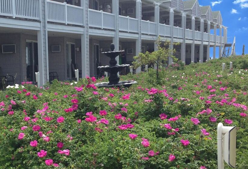 فندق على الطريق Ocean Walk