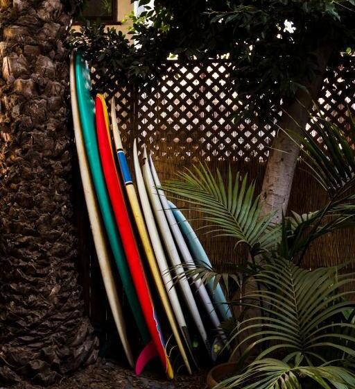 ベッドアンドブレックファースト Venice Beach House