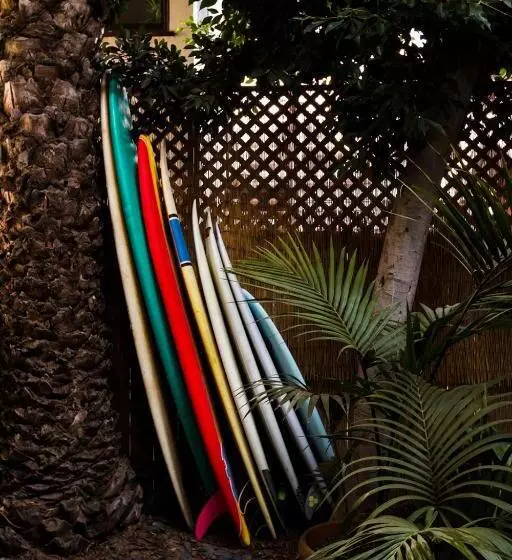 تختخواب و صبحانه Venice Beach House