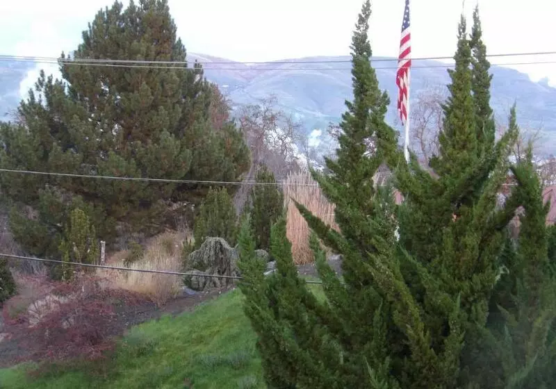 هتل Inn America  Lewiston