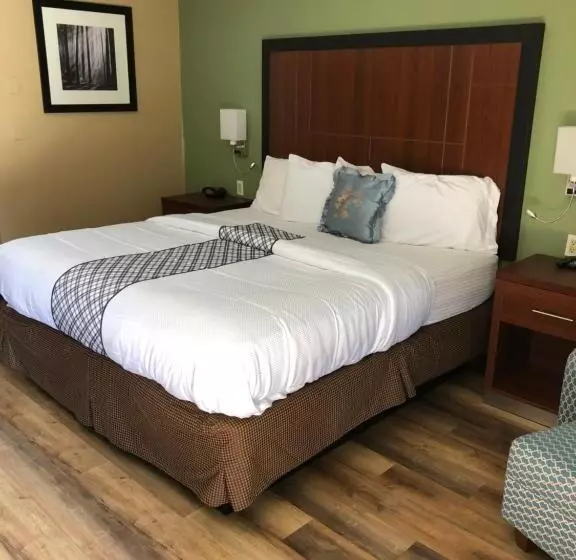 Knights Inn Motel