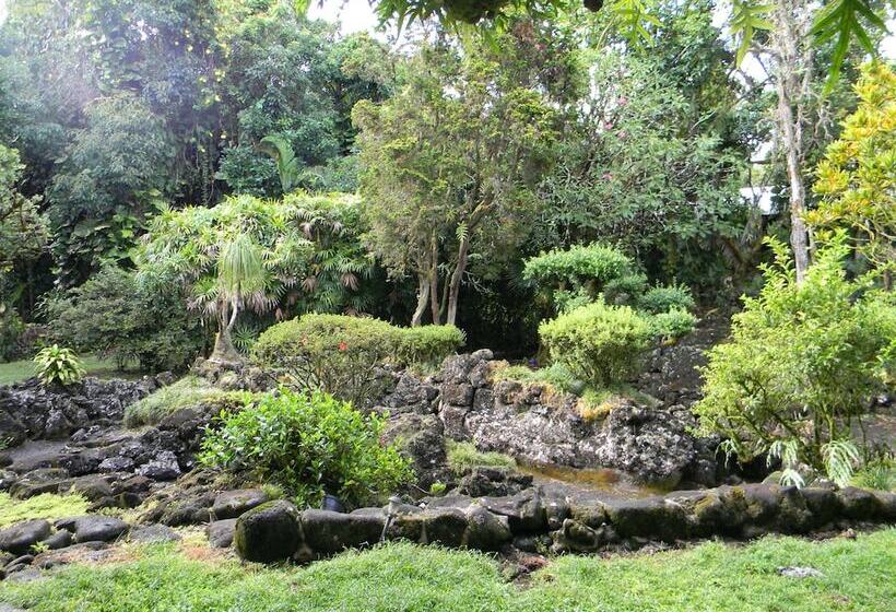 Maureen S Bed & Breakfast