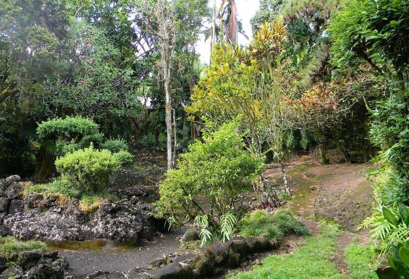 Maureen S Bed & Breakfast