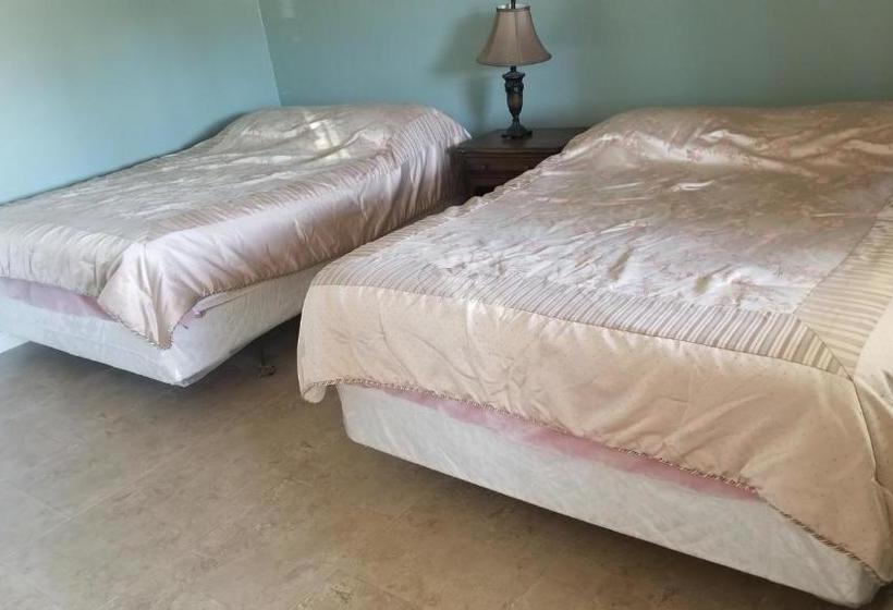 汽车旅馆  Black Hawk Lodge