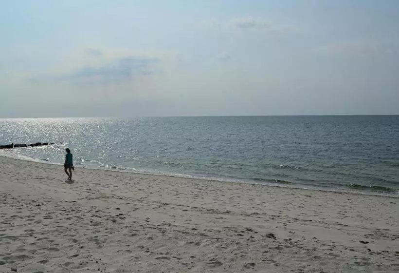 モーテル Cape Shore Inn
