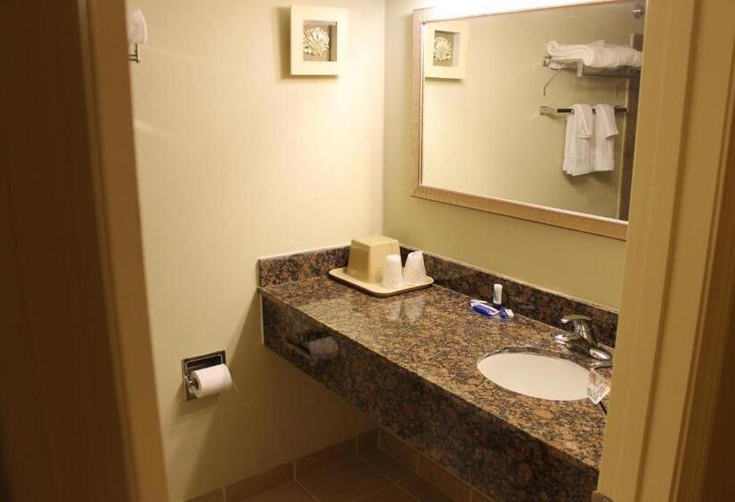 فندق على الطريق Cape Shore Inn