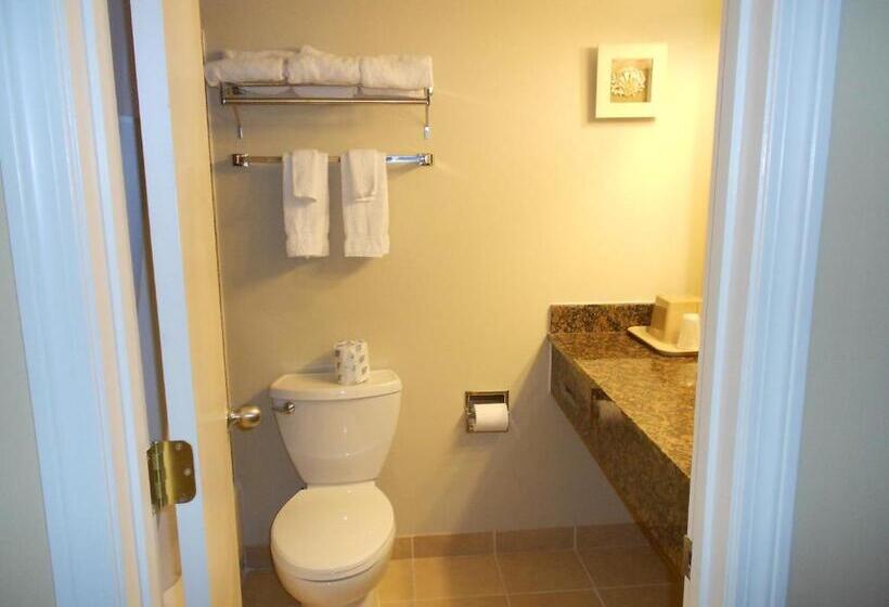 فندق على الطريق Cape Shore Inn