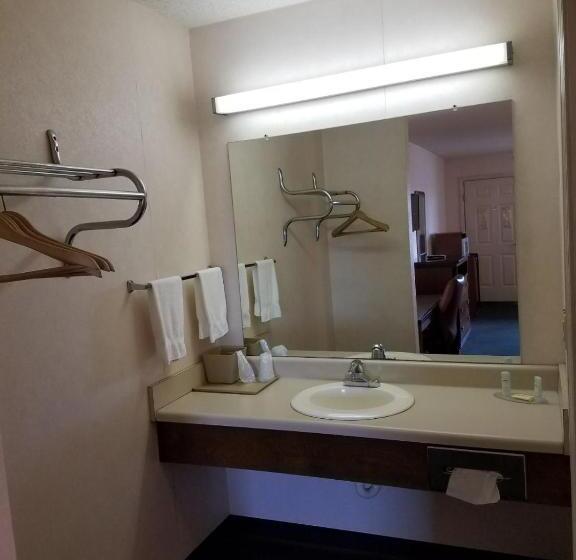 モーテル Shelaine Inn