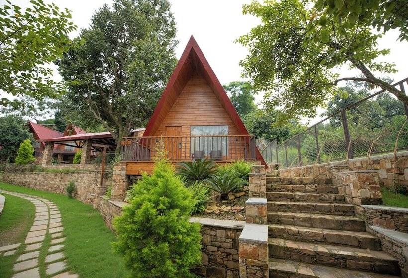 The Pear Orchard By Countryside