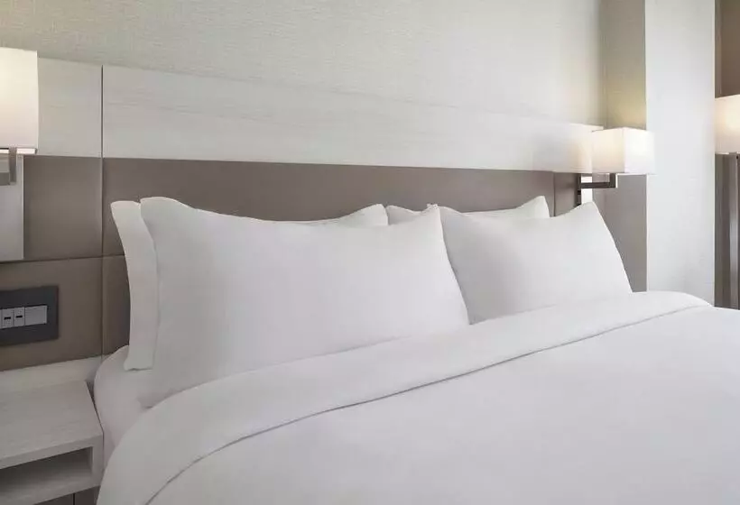 Ac Hotel By Marriott St. Louis Clayton