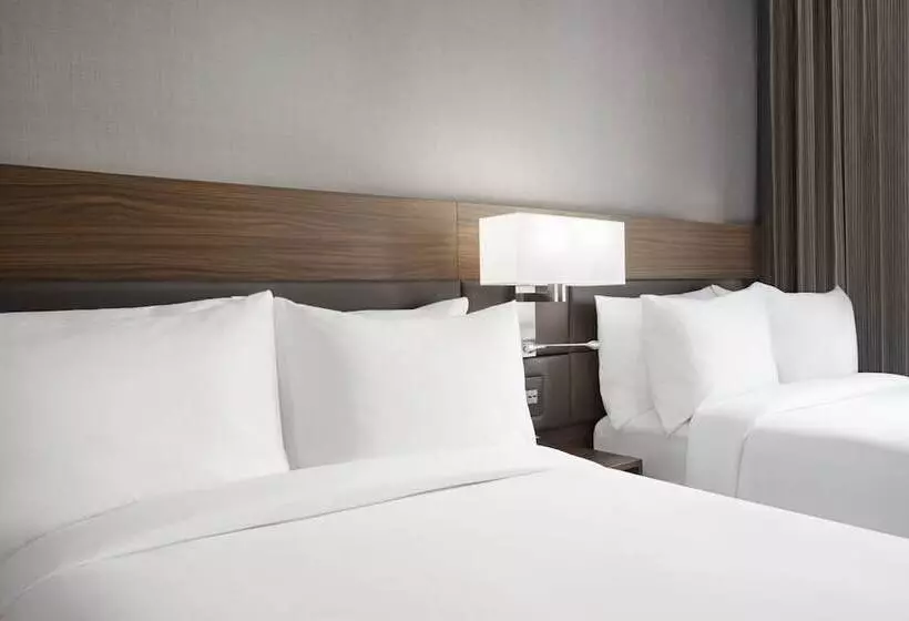 Ac Hotel By Marriott St. Louis Clayton