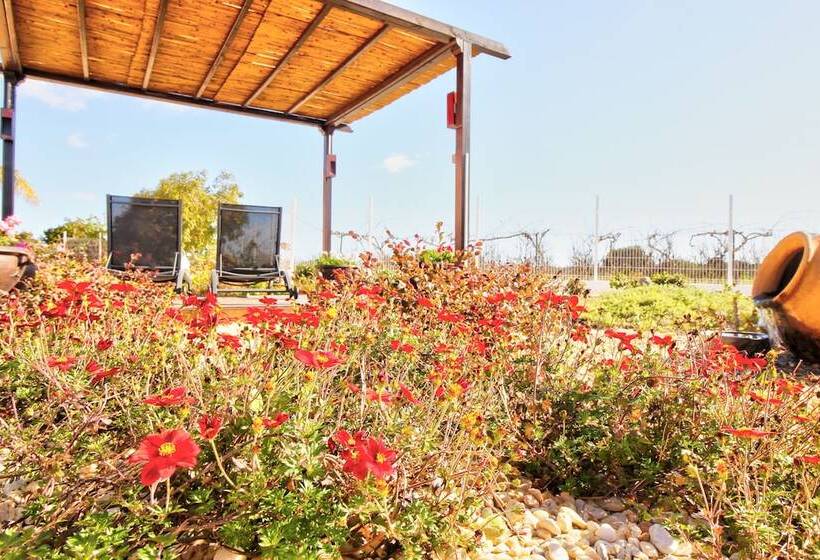 فندق صغير Amadeus Villa